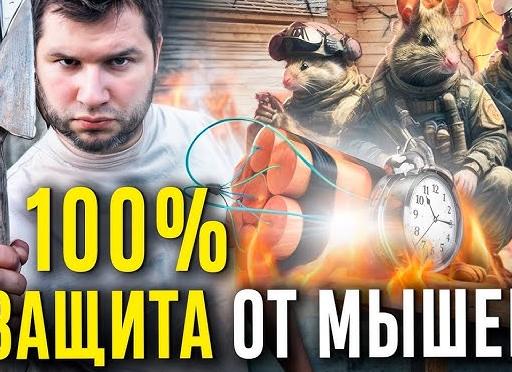 Как защитить дом от грызунов? Первый шаг при монтаже термопанелей.