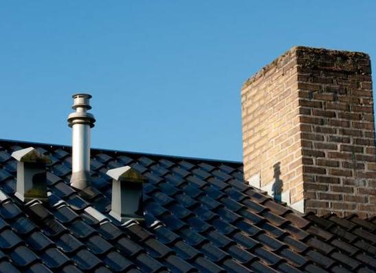 Грибки на крыше